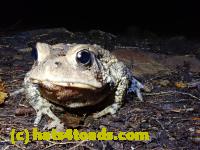 /home//u458753944/public_html/sourcegallery//McKaig Nature Center/2020-09-27/P9270735.JPG